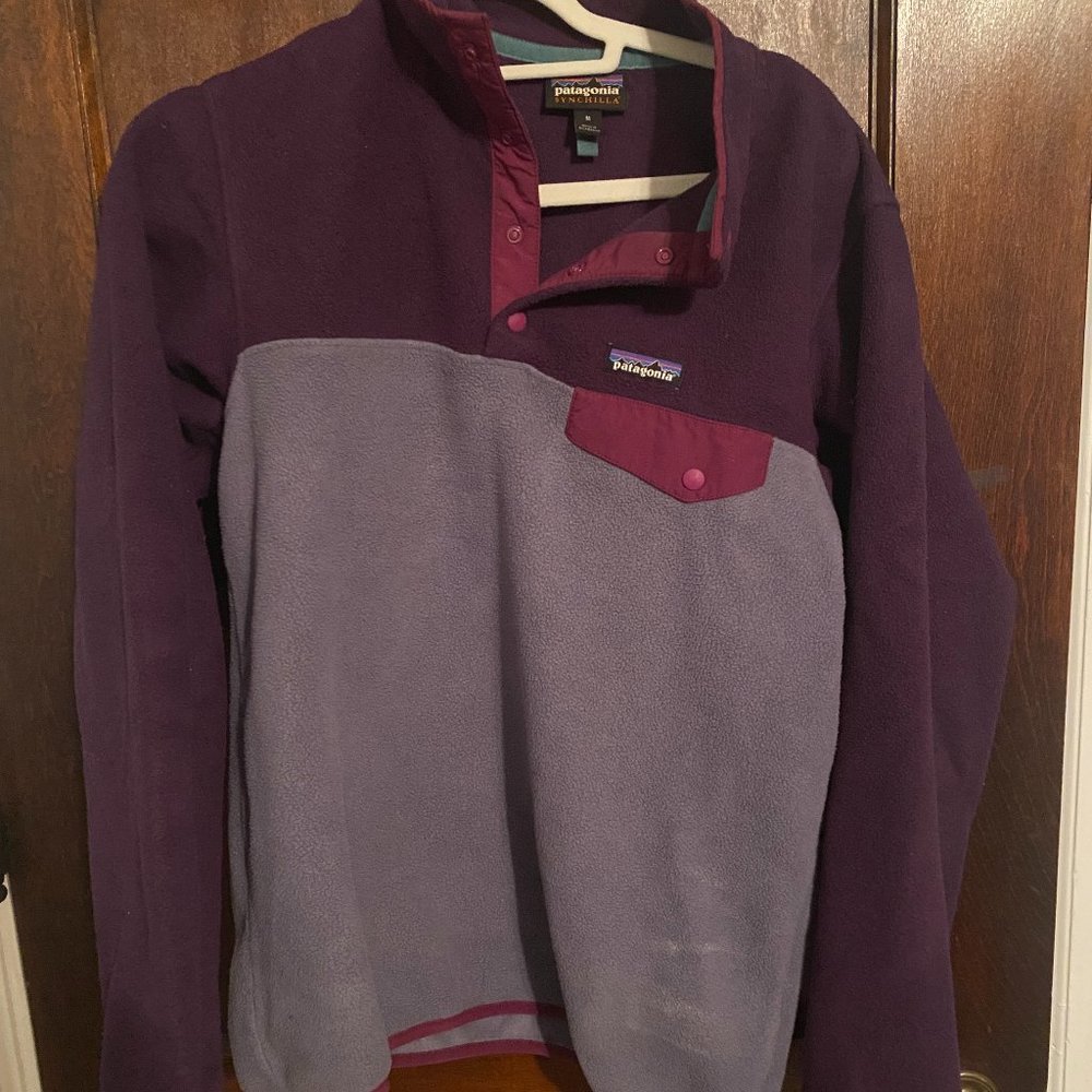 Patagonia Synchilla Fleece